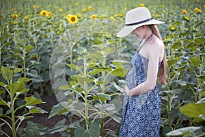 Young beautiful pregnant woman stands in a hat and dress on the field of blooming sunflowers