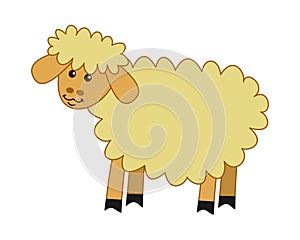 Young and beautiful sheep in profile on a white background - vector