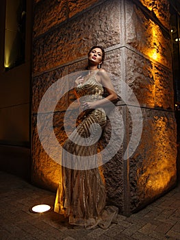 Young beautiful smartly dressed elegant woman with makeup and hairstyle in expressive evening sparkling dress