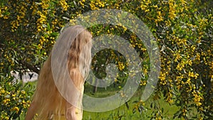 Young beautiful smiling woman in spring Australian Golden wattle trees.