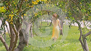 Young beautiful smiling woman in spring Australian Golden wattle trees.