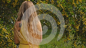 Young beautiful smiling woman in spring Australian Golden wattle trees.