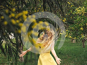 Young beautiful smiling woman in spring Australian Golden wattle trees.