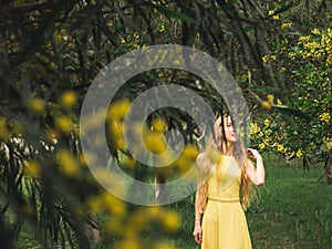 Young beautiful smiling woman in spring Australian Golden wattle trees.