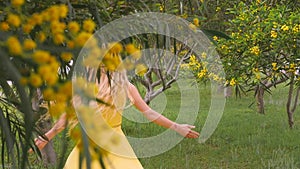 Young beautiful smiling woman in spring Australian Golden wattle trees.