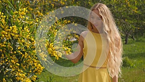Young beautiful smiling woman in spring Australian Golden wattle trees.