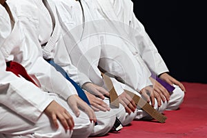 Young, beautiful, successful multi ethical karate kids in karate position.