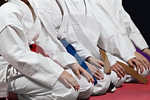 Young, beautiful, successful multi ethical karate kids in karate position.