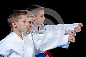 Young, beautiful, successful multi ethical karate kids in karate position.