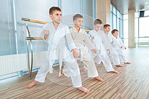 Young, beautiful, successful multi ethical kids in karate position