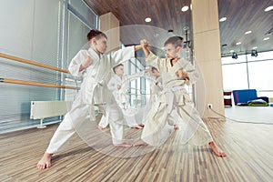 Young, beautiful, successful multi ethical kids in karate position