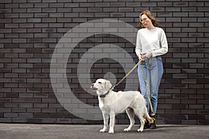 Young beautiful urban girl stands with a dog on the street against a wall, a woman with a golden retriever puppy