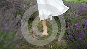 Young Beautiful Woman with bare feet Relaxing In Lavender Field On Summer Day