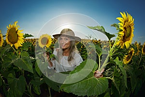 Young beautiful woman on blooming sunflower field