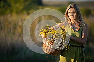 A young attractive herbalist holds a wicker basket of herbs. Goldenrod and common winterflower.