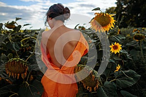 Young Beautiful Woman in evening dress In A Field Of Sunflowers Stands Back, Rear View, Sunset