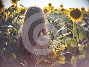 Young beautiful woman in a field of sunflowers stands back and looks at sunset