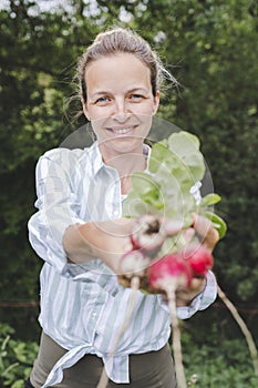 Young beautiful woman harvests vegetables like lettuce, spinach, radishes, from raised beds in garden