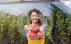Young beautiful woman holding fresh delicious red tomato with hands and smile after she picked up it in greenhouse