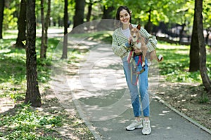 A young beautiful woman holds a dog in her arms for a walk. non-barking african basenji dog.