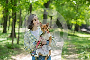 A young beautiful woman holds a dog in her arms for a walk. non-barking african basenji dog.