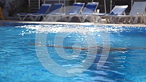 Young beautiful woman jumping in basin and then emerges from under the water. Brunette girl swimming in pool and