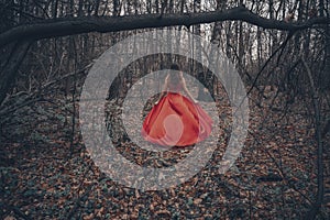 Young beautiful woman in the long flying red dress is walking along foggy mysterious forest