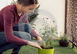 Young beautiful woman planting flowers on her balcony