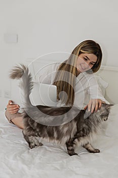 Young beautiful woman relaxing using laptop computer and stroking her gray Maine Coon cat in the bedroom. Working from home.