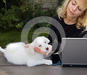 Young beautiful woman sits at table, laptop stands in front of her. Petting small white puppy