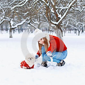 Young beautiful woman with smile walks a dog on a white snowy ba