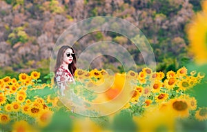 Young beautiful woman stands with a field of sunflowers at Lopburi,Thailand