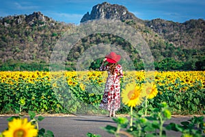 Young beautiful woman stands with her back turned on a blurred background with a field of sunflowers at Lopburi,Thailand