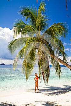 Young beautiful woman under the palm tree, tropical vacation