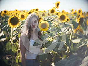 Young beautiful woman walks across field in sun. Yellow sunflowers and blue sky. Portrait view