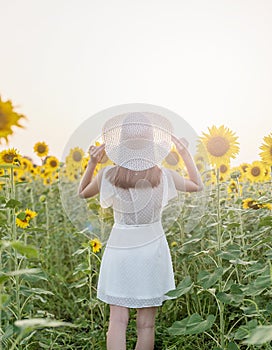 young beautiful woman wearing hat standing between sunflowers in sunset