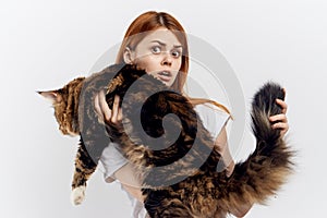 Young beautiful woman on white background holds a cat, maine coon, pets