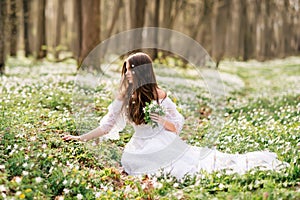 Young beautiful woman in a white dress collects primroses. A girl in the spring forest. A bouquet of white anemones in her hands