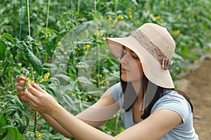 Young, beautufull woman with a hat working in a greenhouse.