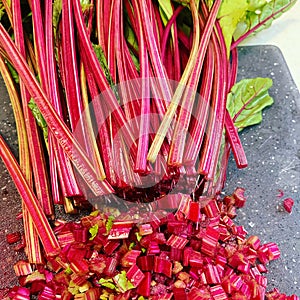 Young beetroots, beetroot sprigs, young beetroot, board with sliced beetroot sprigs