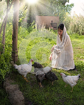 Girl feeding chickens in the garden