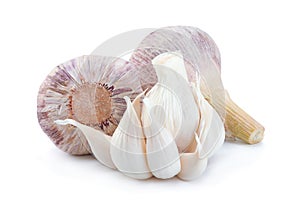 Young big garlic on white