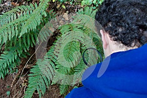 Young biologist inspecting a plant fern with a magnifying glass