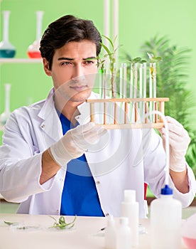 Young biotechnology scientist chemist working in lab