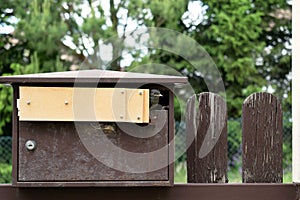 The young bird of black redstart (Phoenicurus ochruros) is going to fly out from the mailbox in which it nested