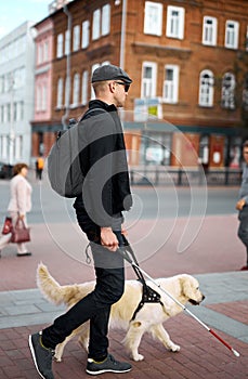 Young blind man with stick and guide dog walking