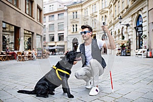 Young blind man with white cane and guide dog on pedestrain zone in city.