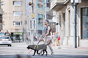 Young blind man with white cane and guide dog walking across street in city.