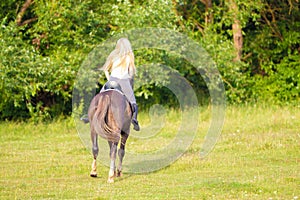 Young blond woman with long hair jockey rider jumping on a bay horse