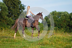 Young blond woman with long hair jockey rider jumping on a bay horse